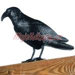 Maketa vrány černý plast plaší špačky kosy holuby